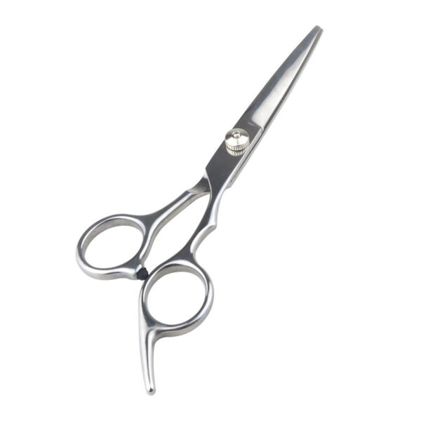 HairStylist Professional Salon & Barber 5.5 Flat Blade Scissors - Silver