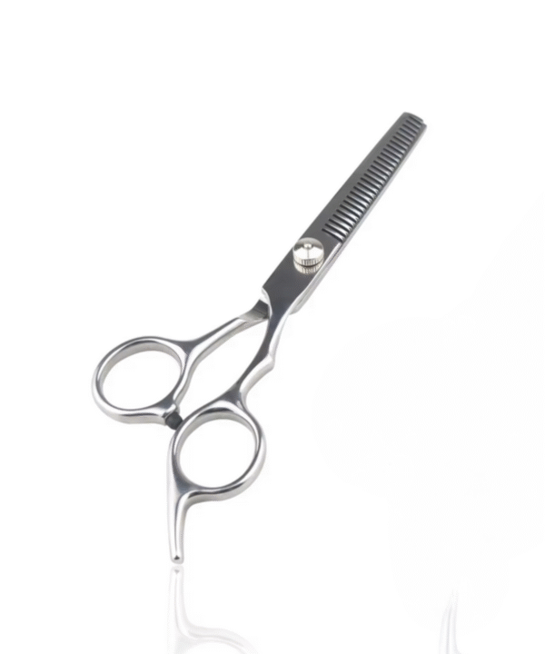 HairStylist Professional Salon & Barber 5.5 Thinning Scissors - Silver